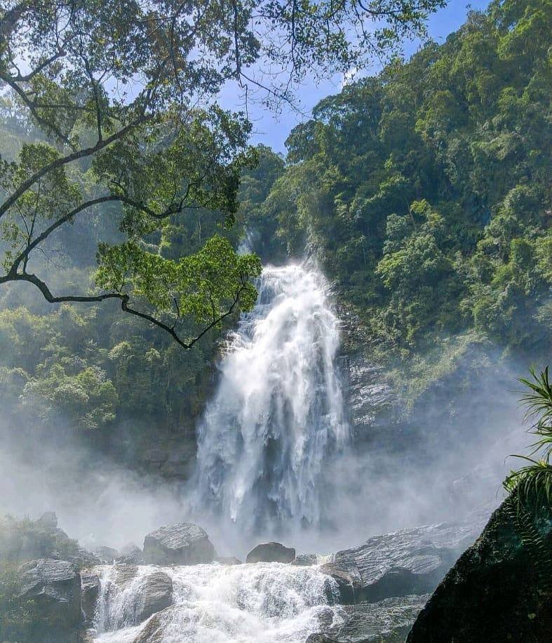 mapalana ella falls 1